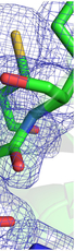 Larger active site in an ancestral hydroxynitrile lyase increases catalytically promiscuous esterase activity